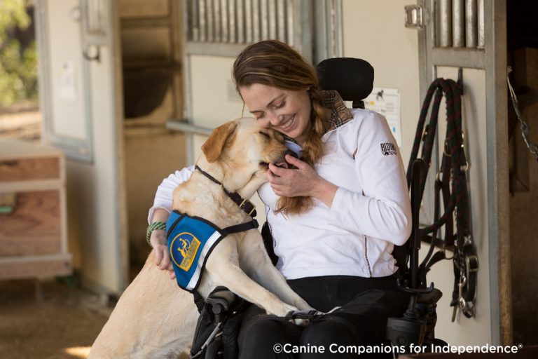 A Little More on Service Dogs… | NAIA Official Blog