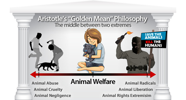 animal cruelty quotes sayings